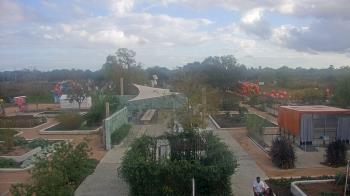Weather camera view of Houston Botanic Garden.