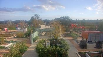 Weather camera view of Houston Botanic Garden.