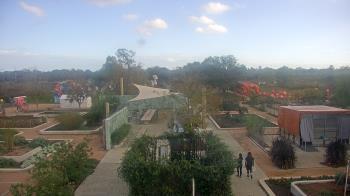 Weather camera view of Houston Botanic Garden.