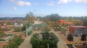 Weather camera view of Houston Botanic Garden.