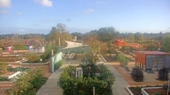 Weather camera view of Houston Botanic Garden.