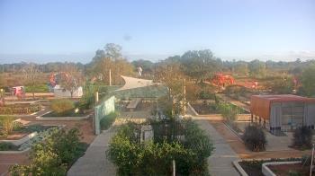 Weather camera view of Houston Botanic Garden.