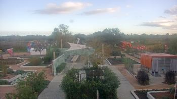 Weather camera view of Houston Botanic Garden.