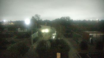 Weather camera view of Houston Botanic Garden.