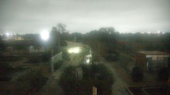 Weather camera view of Houston Botanic Garden.
