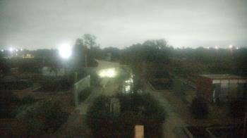 Weather camera view of Houston Botanic Garden.