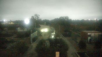 Weather camera view of Houston Botanic Garden.