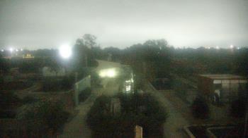 Weather camera view of Houston Botanic Garden.