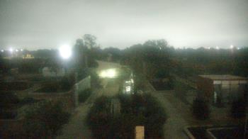 Weather camera view of Houston Botanic Garden.