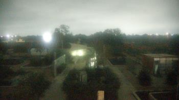 Weather camera view of Houston Botanic Garden.