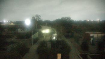 Weather camera view of Houston Botanic Garden.