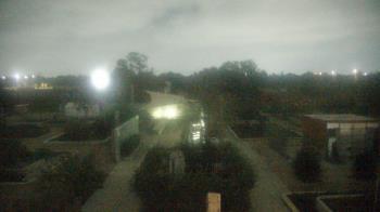 Weather camera view of Houston Botanic Garden.