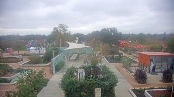 Weather camera view of Houston Botanic Garden.