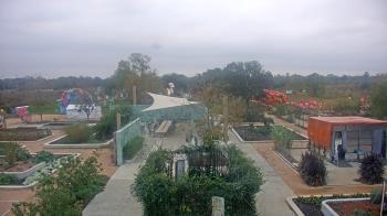 Weather camera view of Houston Botanic Garden.
