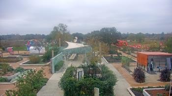 Weather camera view of Houston Botanic Garden.