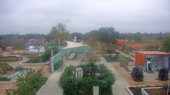 Weather camera view of Houston Botanic Garden.