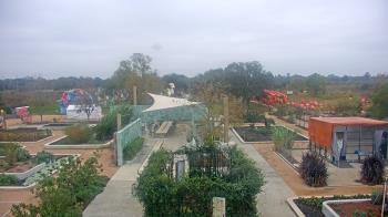 Weather camera view of Houston Botanic Garden.