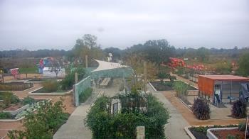 Weather camera view of Houston Botanic Garden.