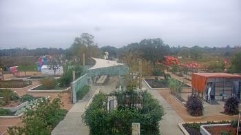 Weather camera view of Houston Botanic Garden.
