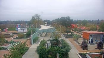 Weather camera view of Houston Botanic Garden.