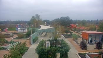 Weather camera view of Houston Botanic Garden.