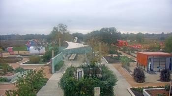 Weather camera view of Houston Botanic Garden.