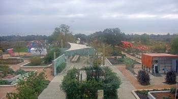 Weather camera view of Houston Botanic Garden.