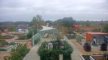 Weather camera view of Houston Botanic Garden.
