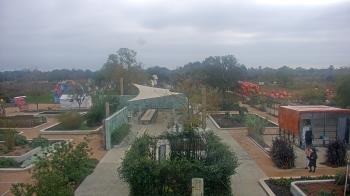 Weather camera view of Houston Botanic Garden.