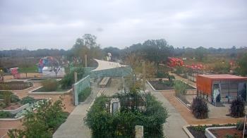 Weather camera view of Houston Botanic Garden.