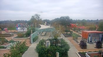 Weather camera view of Houston Botanic Garden.