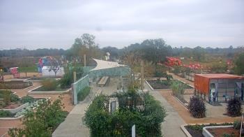 Weather camera view of Houston Botanic Garden.