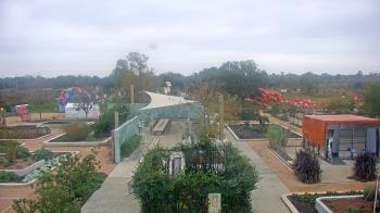 Weather camera view of Houston Botanic Garden.