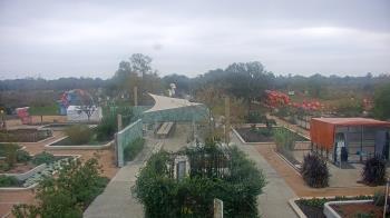 Weather camera view of Houston Botanic Garden.