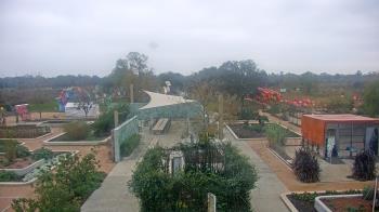 Weather camera view of Houston Botanic Garden.