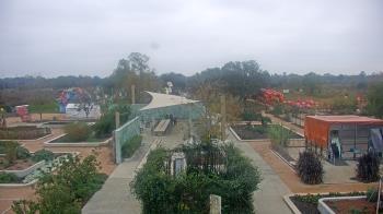 Weather camera view of Houston Botanic Garden.