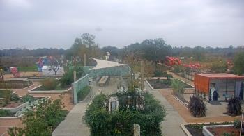 Weather camera view of Houston Botanic Garden.