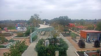 Weather camera view of Houston Botanic Garden.