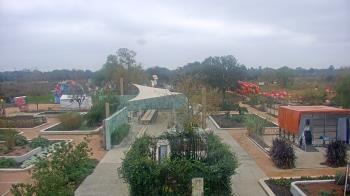 Weather camera view of Houston Botanic Garden.
