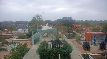Weather camera view of Houston Botanic Garden.