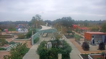 Weather camera view of Houston Botanic Garden.
