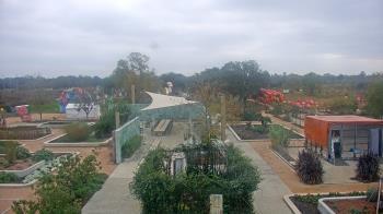 Weather camera view of Houston Botanic Garden.