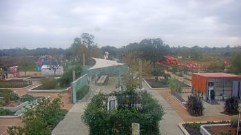 Weather camera view of Houston Botanic Garden.