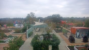 Weather camera view of Houston Botanic Garden.