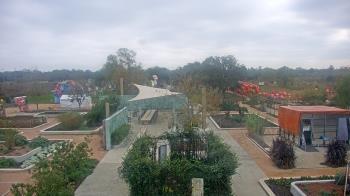 Weather camera view of Houston Botanic Garden.