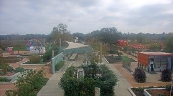Weather camera view of Houston Botanic Garden.