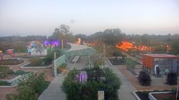 Weather camera view of Houston Botanic Garden.