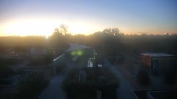 Weather camera view of Houston Botanic Garden.