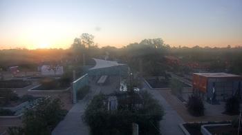 Weather camera view of Houston Botanic Garden.