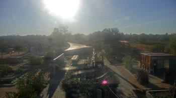 Weather camera view of Houston Botanic Garden.